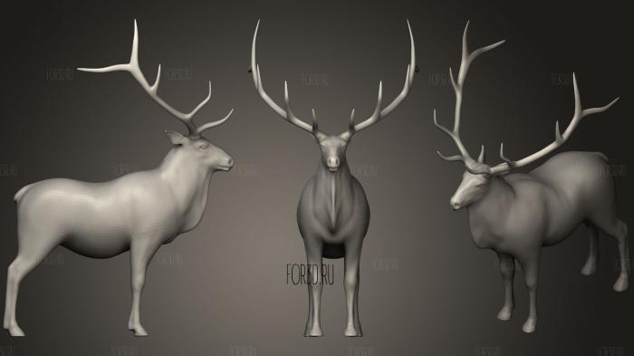 Bull Elk stl model for CNC